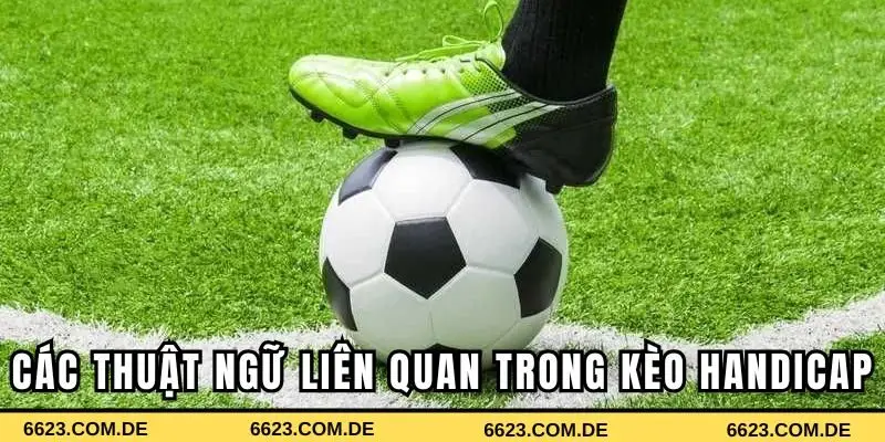 Các thuật ngữ liên quan trong kèo Handicap là gì?